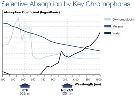 selective absorption by key chromophores