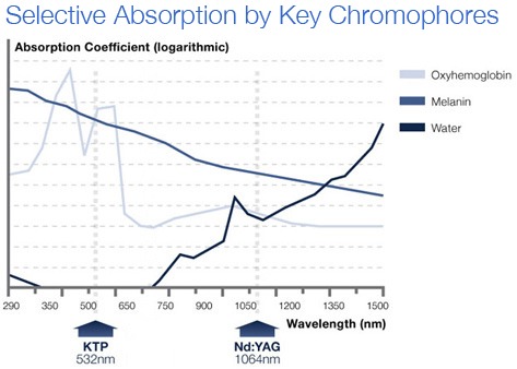 selective absorption by key chromophores